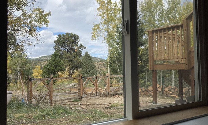 Nederland Apartment | Quiet, cozy nestled in the trees. Sunny, views, hikes. Ski nearby!