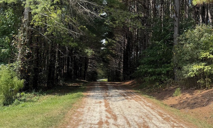 Vale Other | Quiet farmhouse with pasture in Vale