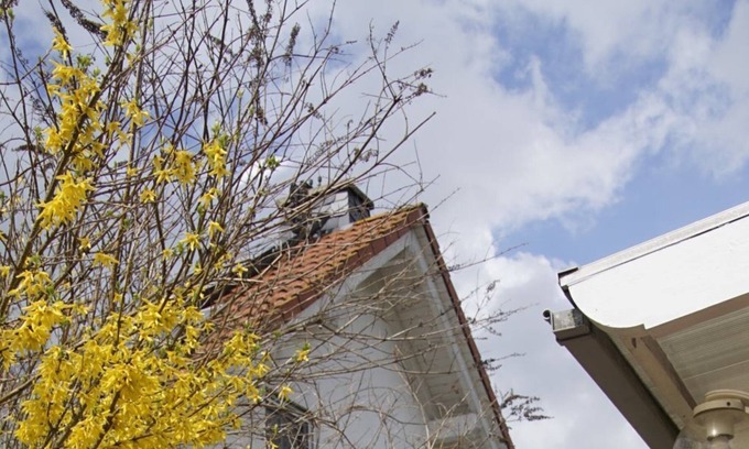 Willersdorf Apartment | quiet flat for a couple or little family with beautiful views