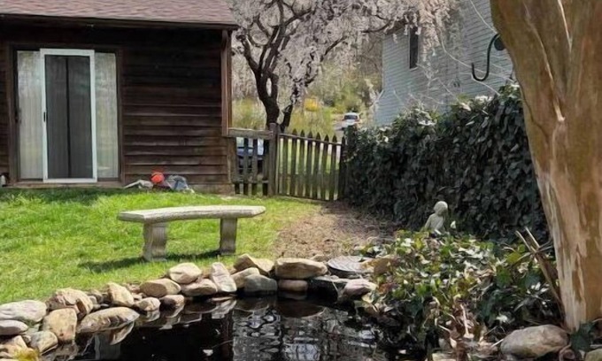 Roanoke House | Quiet home that deer visit
