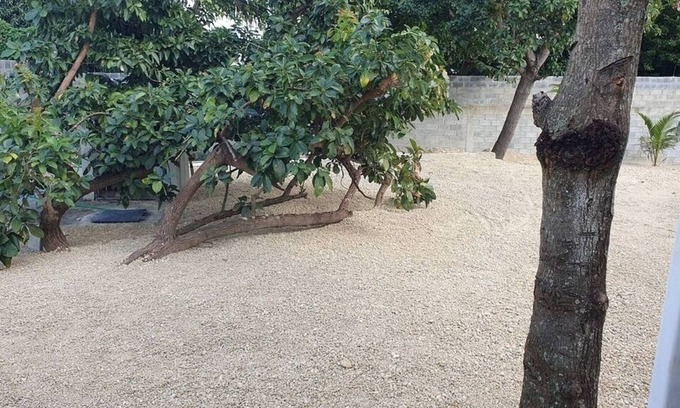 Bajos de Haina House | Quiet refuge in San Gregorio de Nigua, history, nature and security.