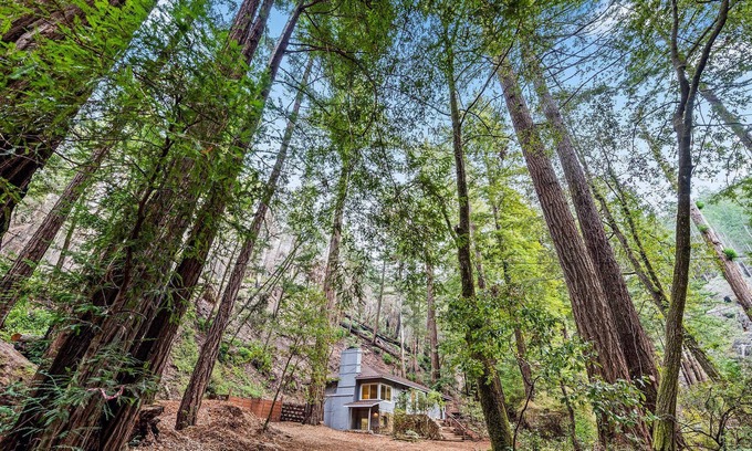 Pescadero House | Quiet Retreat in the Redwoods