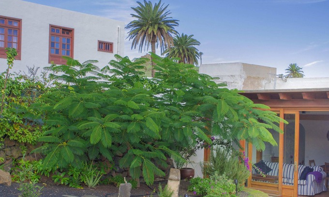 Haria House | Quiet Rural House in Haría