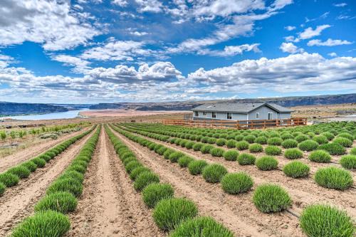 Quincy House | Quincy Home on Lavender Farm with River Views!