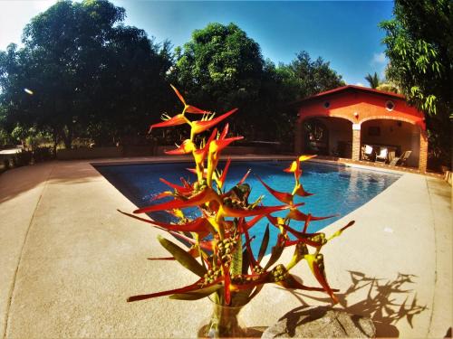 Comala Hotel | Quinta Comala Hotel & Villas
