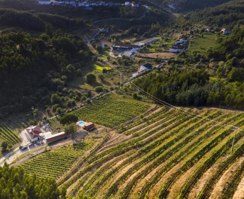 Arganil House | Quinta da Aldeia Nova