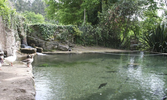 Mosteiro Other | Quinta DA Eira - Relaxe no Campo