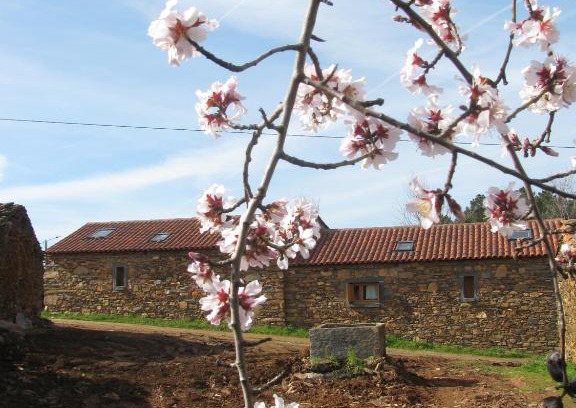 Torre de Moncorvo House | Quinta dos Baldo