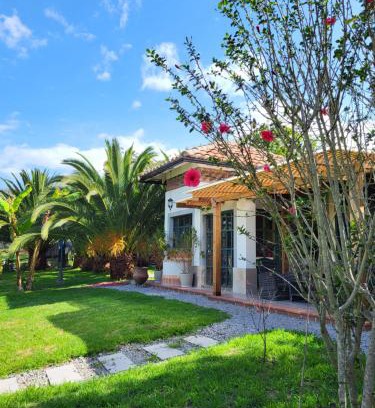 Tumbabiro Bed & Breakfast | Quinta Paolita
