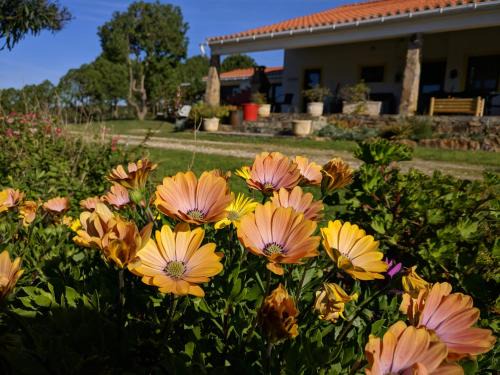 Baiona Apartment | Quinta Reuffurth