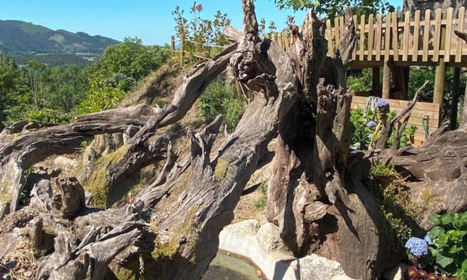 Pico Cottage | Quinta Souto Velho- Gêres
