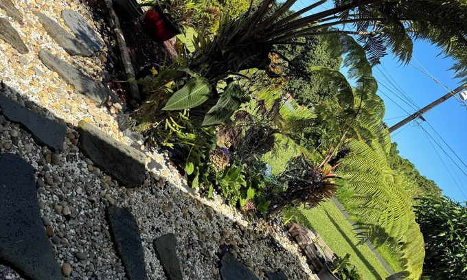 Kealakekua House | Quite & Friendly Neighborhood With Cool Elevation.