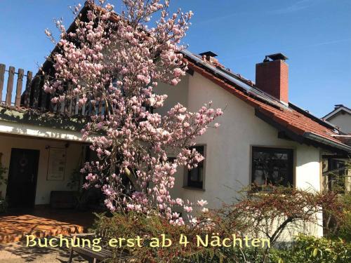 Mußbach Apartment | Römerklause