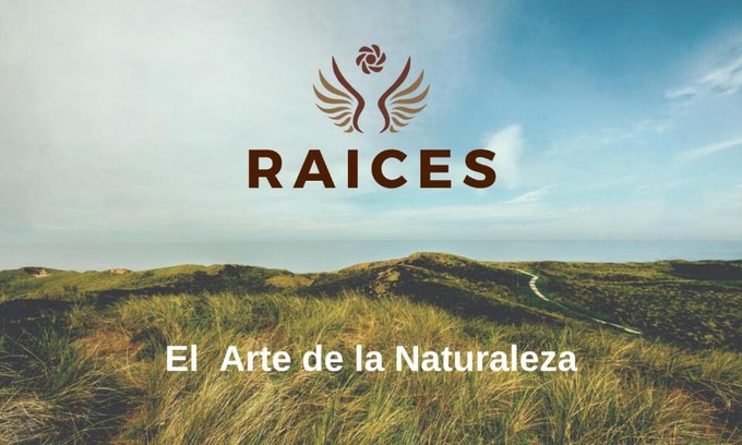 Ongamira Cabin | Raíces Ongamira