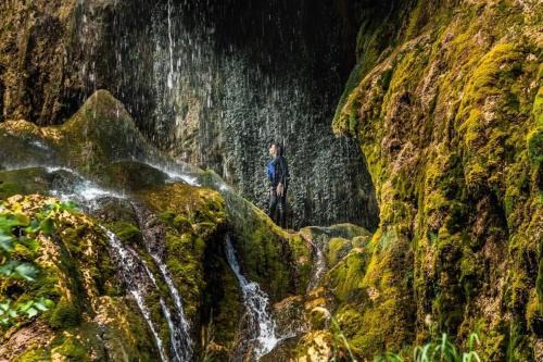 Pluzine Other | Rafting camp Three canyons
