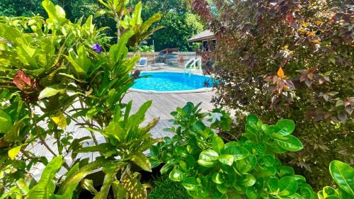 Uturoa House | RAIATEA - Orion Pool Bungalow