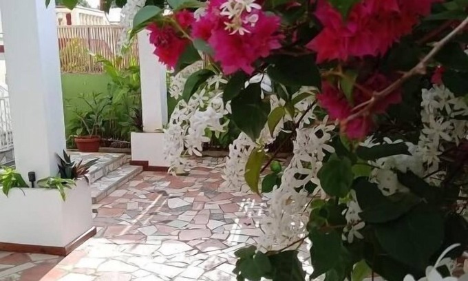 St. Andrew Hotel | Rainbow Inn