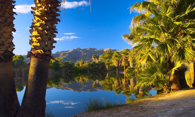 Palm Springs Apartment | Raintree's Cimarron Golf Resort