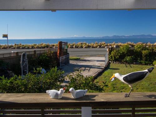 Marahau House | Raisin Town - Marahau Bach