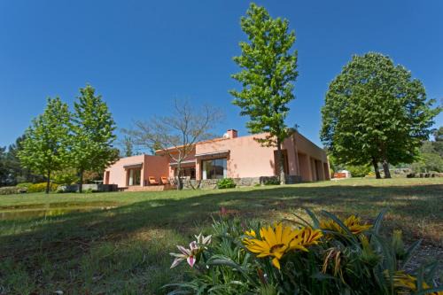 Beijos House | Raizes e Particulas