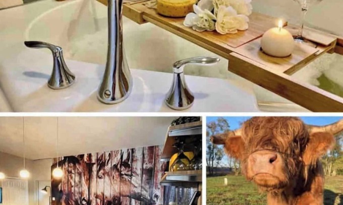 Selbyville House | 🌟Ranch Stay- Farm Animals, Jacuzzi, Arcade, Beaches🌟
