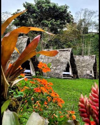 Mocoa Bed & Breakfast | Rancho Porvenir