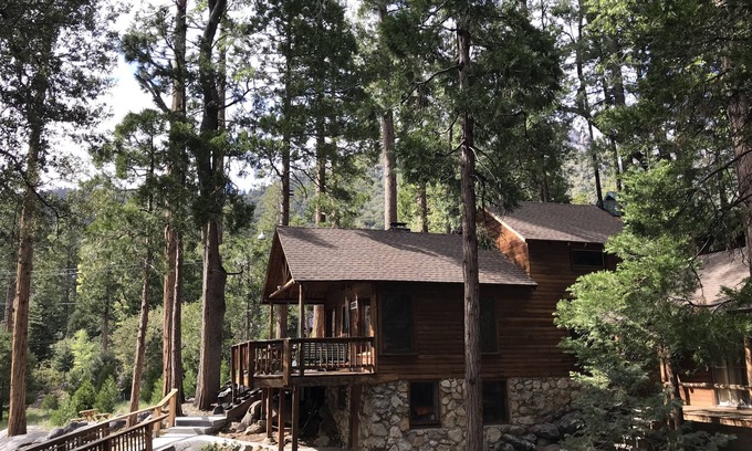 Fern Valley Cabin | Rare & Authentic in Prime Location, Views, Chef Kitchen & Style