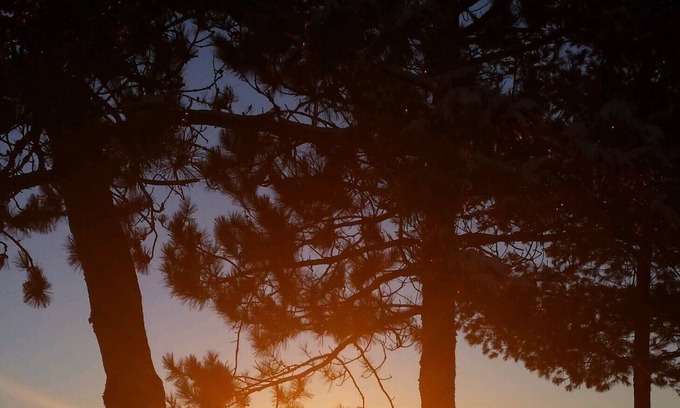 Hazelhurst House | Rare rustic log home located on Willow Flowage