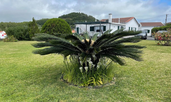 Faja de Baixo House | Recent villa, located in a quiet residential area, 2km from the center