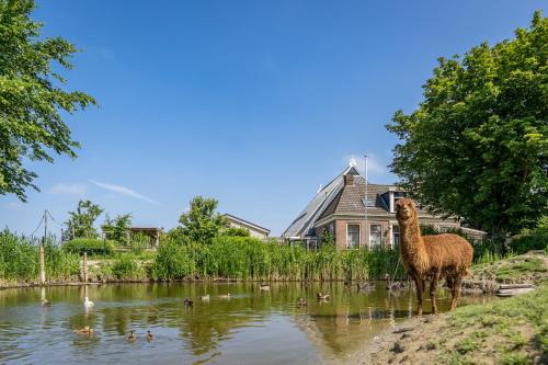 Oude Bildtzijl House | Recreatieboerderij Hoeve Noordveld