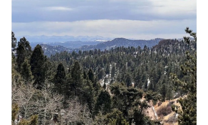 Colorado Springs Cabin | Red Door Cabin