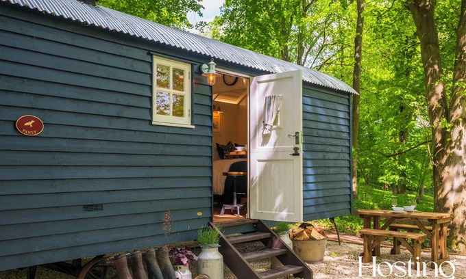 Maidensgrove Cabin | Red Kite Retreat - Pansy - Shepherds Hut 3