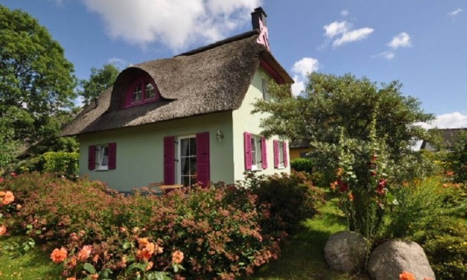 Putgarten House | Red-throated diver Modern retreat