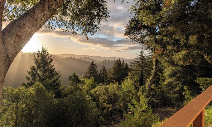 Los Gatos House | Redwood Haven: Your Santa Cruz Mountains Gateway