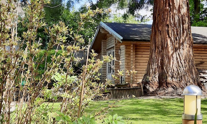 Sandhurst Cabin | Redwood Lodge: unwind in your very own log cabin