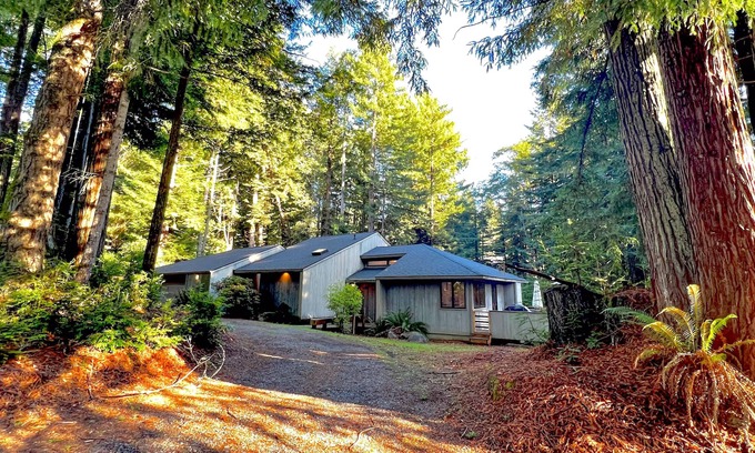 Crescent City House | Redwood retreat with large deck, grill, AC, & art collection - dog-friendly