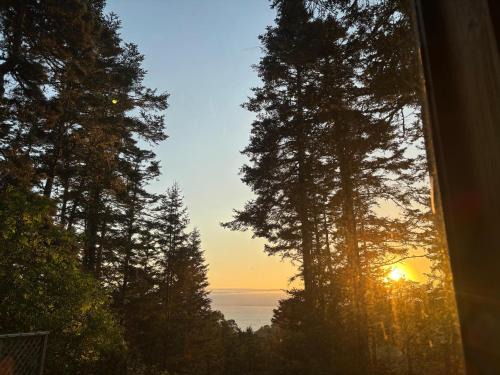 Galt House | Redwoods Oceanview Retreat