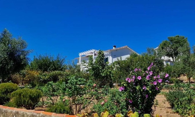 Vila de Rei House | Refugio Abrunheiro Grande