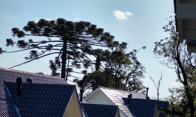 Mato Queimado House | Refúgio Gramado with air conditioning, fireplace and wi-fi