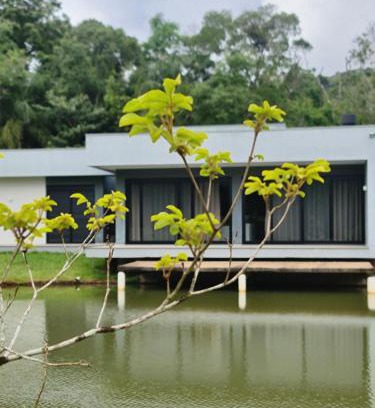 Morro Reuter House | Refugio na Serra