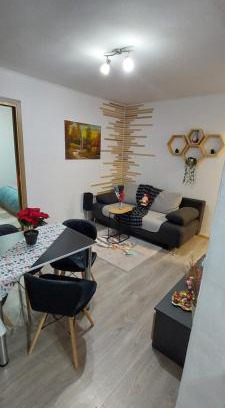 Borsec Apartment | Refugiu Alpin Borsec