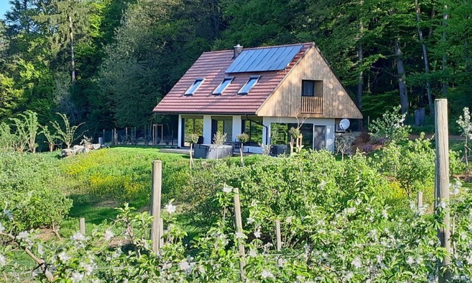 Feldbach House | Refugium am Wald - Holiday home Refugium am Wald
