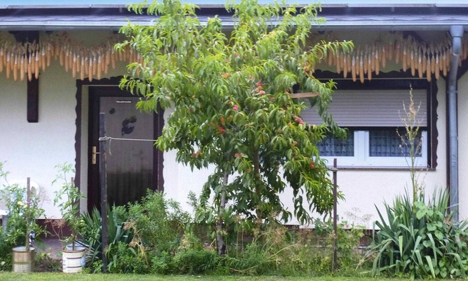 Lubben House | Reihenhaus in Lübben an der Spree