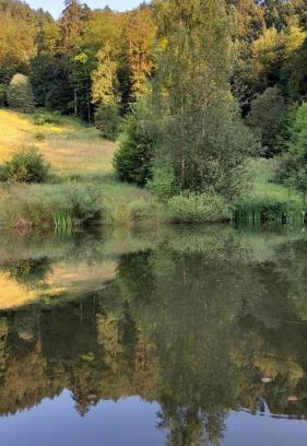 Basse-sur-le-Rupt Ski Chalet | RELAX CHALET Nature Retreat - isolé sur 3 hectares - confort de LUXE - maison entière 150m2 - près de La Bresse