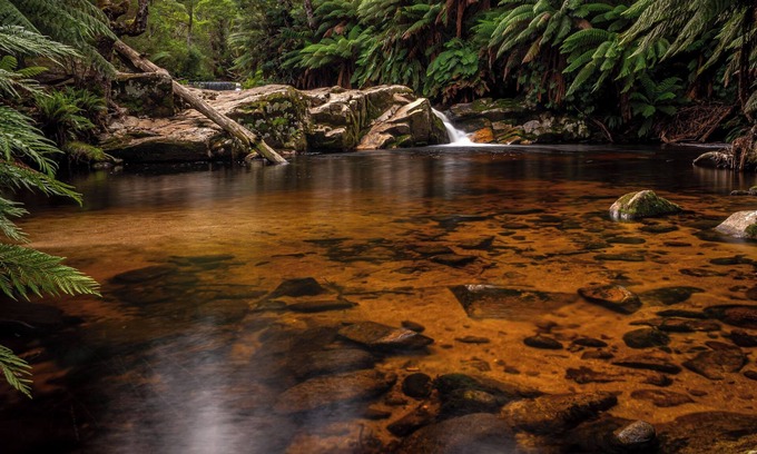 Branxholm Cottage | Relax in stunning private gardens and explore Tasmania's North East