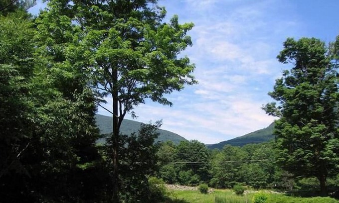 West Saugerties House | Relax In This Peaceful And Modern 3BR Catskills Rambler with Mountain Views