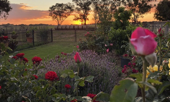 Lewiston Cottage | Relax on the farm!