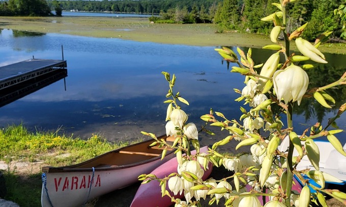 Douro-Dummer Cottage | Relax with the whole family at The Varaha. A peaceful cottage facing the lake