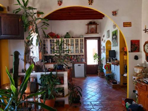 Aspe Apartment | Relax y Descanso