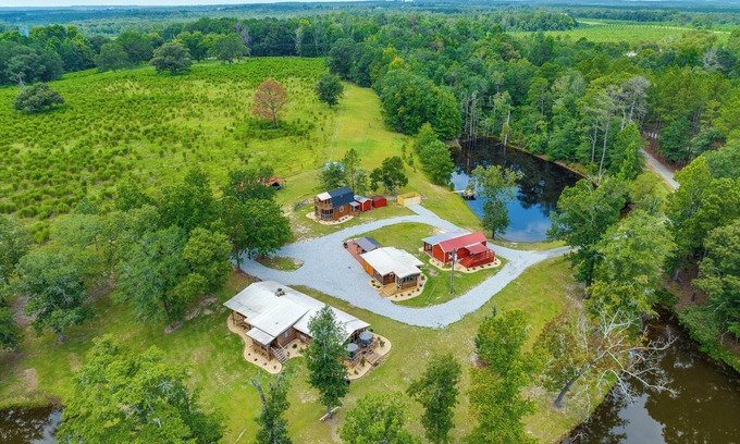 Mauk Cabin | Relaxing Buena Vista Getaway w/Lush Lake Views